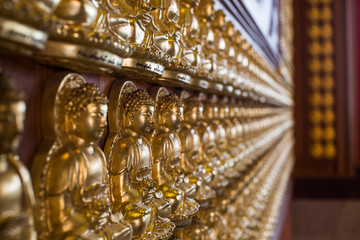 Row of golden buddha statue.