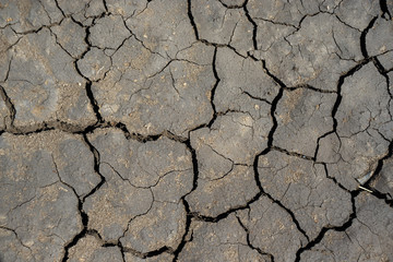 cracked surface of earth as good textured background