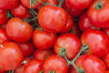 tomatoes at the market