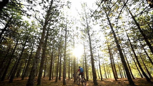 ormanlık alanda bisiklet sürmek