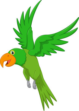 cute parrot cartoon flying