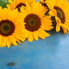bight sunflowers