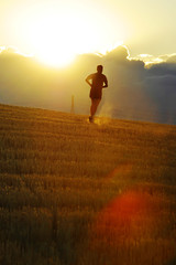Silhouette sport man running off road in countryside on yellow grass field at sunset