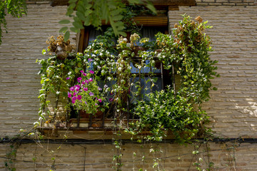 Fototapeta na wymiar Flowers balconie, streets of the city Toledo, medieval architect
