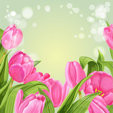 Green shining background of pink tulips horizontal banner