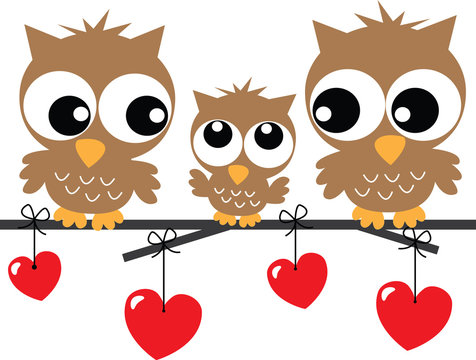 sweet little owl family
