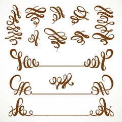 Calligraphic vintage curls elements set isolated on a white back