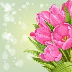 Background of pink tulips
