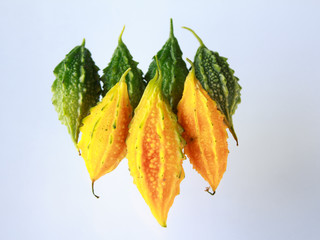 bitter gourd