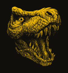 Trex. Hand drawn Vector illustration.  © RLRRLRLL
