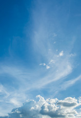 Naklejka na ściany i meble image of blue clear sky for background usage.