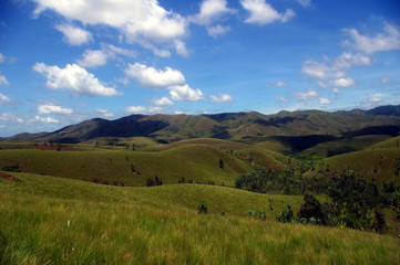 Paysage du sud malgache.