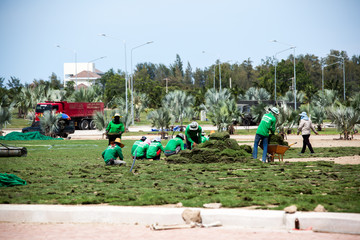 Workers are landscaping and lawn .