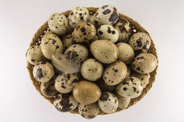 Quail eggs in a wicker oval shape