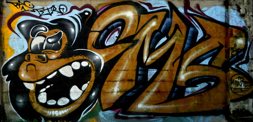 Graffiti 3466 - gorilla arrabiato