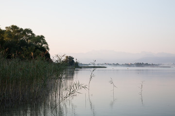 Pfäfikersee am morgen
