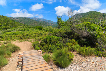 Wooden footbridge on mountain trail to Girolata bay, Corsica island, France