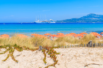 Green grass on sand dune on Calvi beach with cruise ships in background on blue sea, Corsica island, France