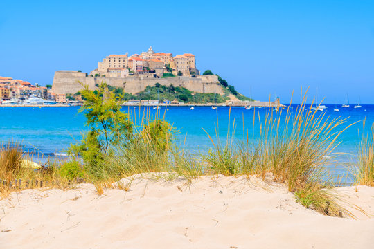 Green grass on sand dune on beach with blurred old town of Calvi in background, Corsica island, France