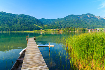 Green grass in water of Weissensee alpine lake in summer landscape, Austria