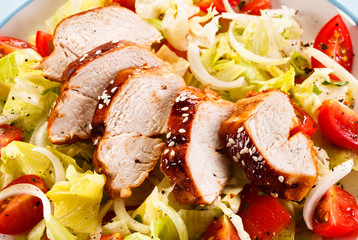 Roast chicken fillet and vegetables 