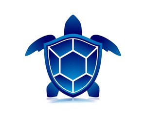 Obraz premium Turtle secure