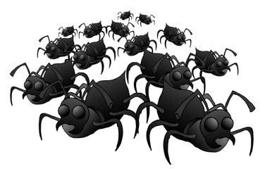 many ants