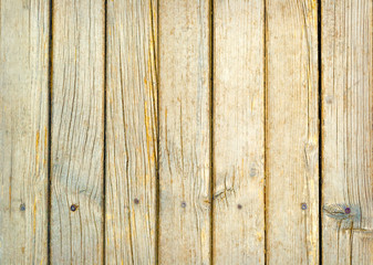 Wooden plank texture as background