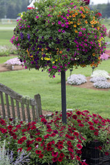 Colourful Flower Basket Tree