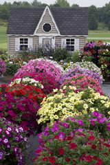 Fototapeta na wymiar Beautiful Garden with Profusion of Flowers