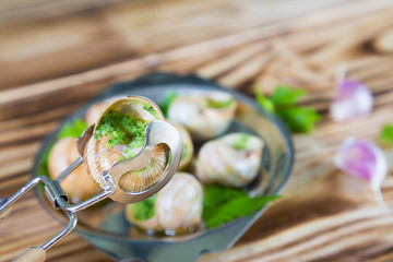escargot