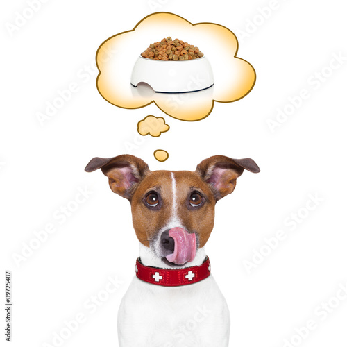 &quot;Hund hat hunger und träumt von einem knochen, in einer sprechblase