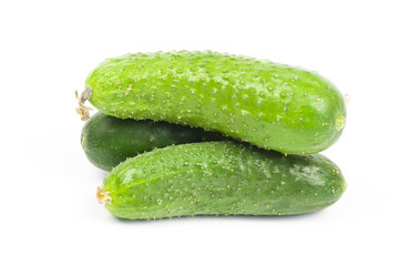 Ripe organic cucumber