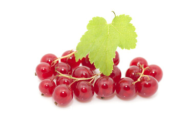 Ripe red currants