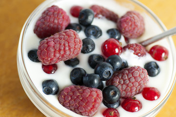 Delicious dessert made of yoghurt and ripe berries