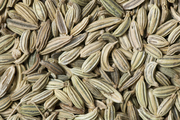 Background made of fennel seeds