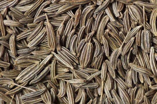 Caraway (Carum carvi) seeds background