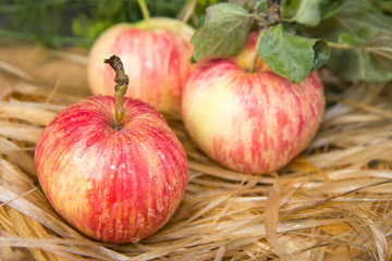 Fresh and organic apples