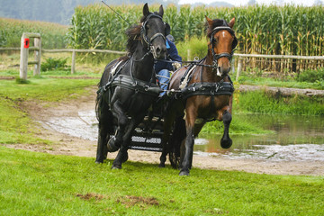 Duospan rent langs het water.