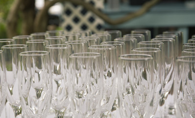 Group of champagne glasses