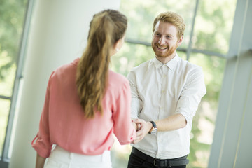 Young woman and man handshaking