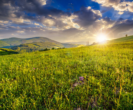 green meadow on a mountain hillside at sunset
