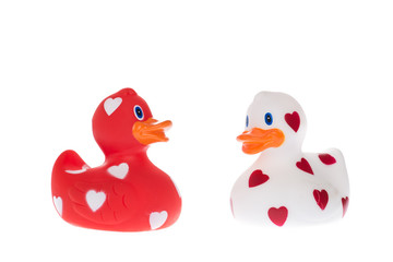 Two rubber duck with hearts one red one white isolated on a white background