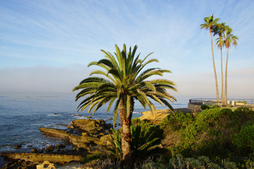 Fototapeta na wymiar Beach park and California coast