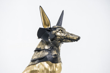 sculpture of the Egyptian god Anubis, gold figure and black jack