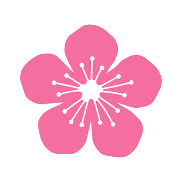 Peach or cherry blossom flower flat icon for apps and websites