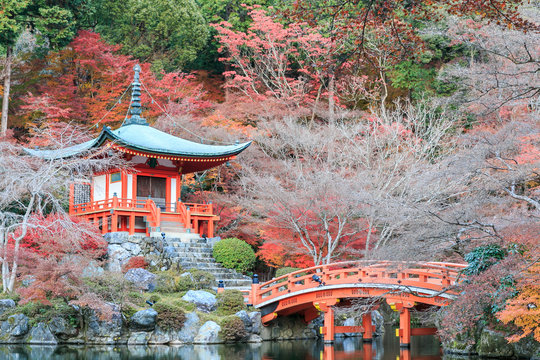 Autumn season,The leave change color of red in Temple