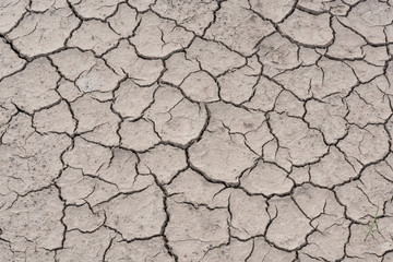 Crack soil on dry season
