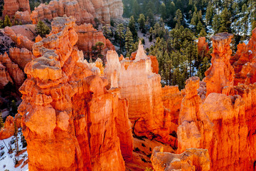 Hoodoos at Dawn, Bryce Canyon National Park