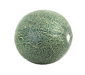 melon isolated on white background